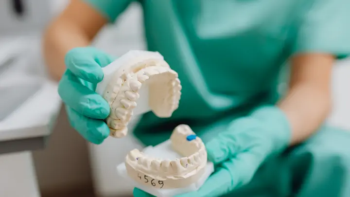 Dentist holding up fake teeth to camera.